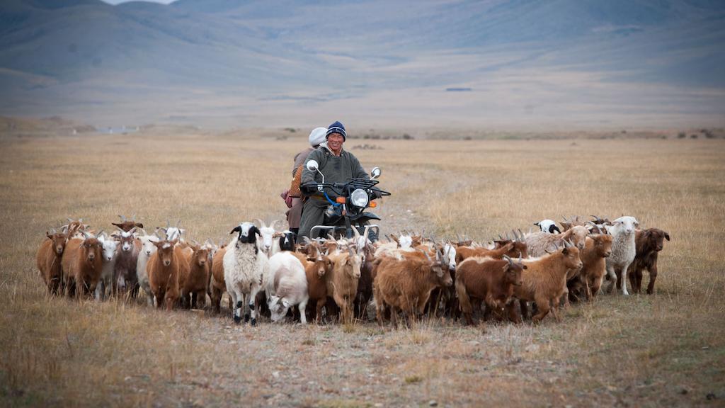 ADB Projects to Spur Agriculture, Improve Transport and Trade Sectors in Mongolia