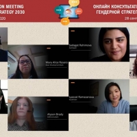 Country Consultation on Gender Strategy (Azerbaijan, Georgia, Kazakhstan, Uzbekistan)