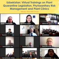 Virtual Training on Plant  Quarantine Legislation, Phytosanitary Risk  Management and Plant Clinics: Uzbekistan