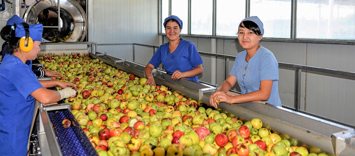 How to create more jobs and reduce poverty in Uzbekistan: Focus on the agri-food sector